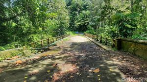 Melihat Jembatan Bolong Mamuju yang Angker dengan Cerita Minta Tumbal