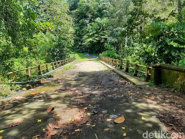 Melihat Jembatan Bolong Mamuju yang Angker dengan Cerita Minta Tumbal