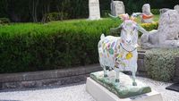 Penampakan Kambing-kambing yang Jadi Ikonnya Kota Ankara