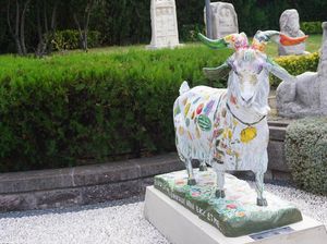 Penampakan Kambing-kambing yang Jadi Ikonnya Kota Ankara