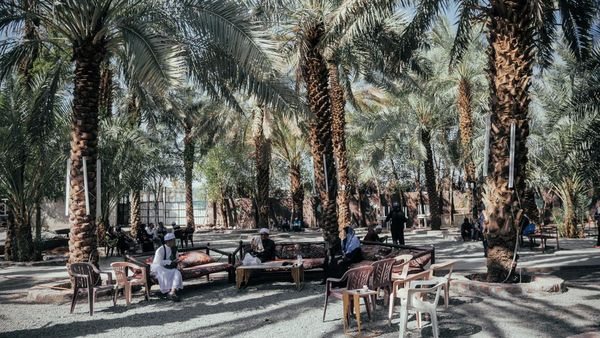 Syahdu, Menikmati Wisata Kebun Kurma di Madinah