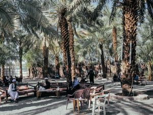 Syahdu, Menikmati Wisata Kebun Kurma di Madinah