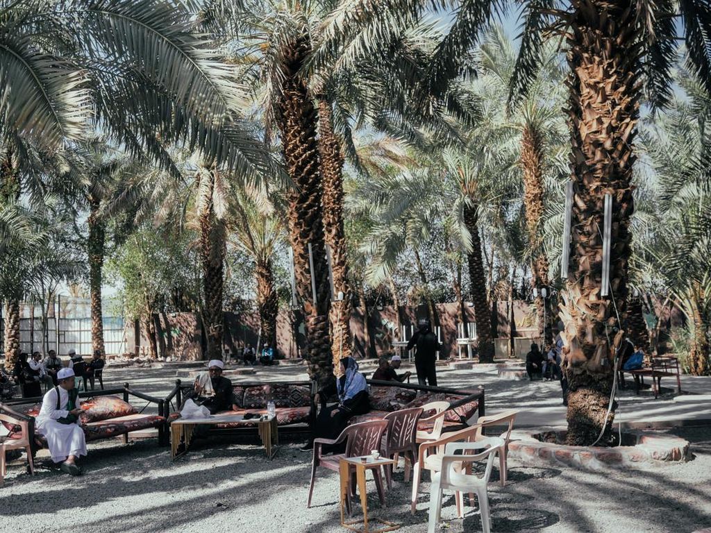 Syahdu, Menikmati Wisata Kebun Kurma di Madinah Syahdu, Menikmati Wisata Kebun Kurma di Madinah