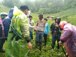 Geger Harimau Mangsa Dua Anjing Warga di Agam