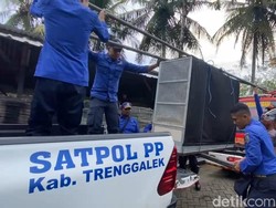 Akhir Tragis Pawang Ular Tewas Dipatuk King Kobra yang Dipelihara 5 Tahun