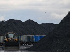 Jelang Akhir Tahun Harga Batu Bara RI Anjlok 8,67%