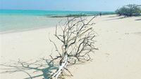 Potret Pulau Pasir di NTT yang Diklaim Punya Australia