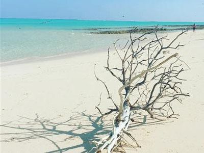 Potret Pulau Pasir di NTT yang Diklaim Punya Australia