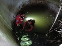 Basarnas Setop Pencarian Balita 2 Tahun di Manado, Terindikasi Penculikan