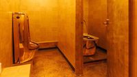 Foto: Toilet Emas Ala Crazy Rich di Kedai Shinjuku