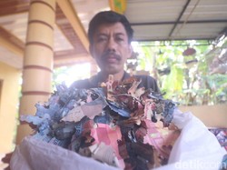 Saat Uang Tabungan Rp 35 Juta Ludes Dimakan Rayap Bikin ASN Madiun Gigit Jari