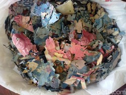 7 Fakta Uang Tabungan Rp 35 Juta Ludes Dimakan Rayap Bikin Pemilik Gigit Jari