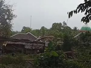 Pohon Tumbang Timpa 3 Rumah di Lebak Pohon Tumbang Timpa 3 Rumah di Lebak