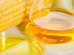 Jika Sering Dikonsumsi, 5 Bumbu Makanan Ini Bisa Bahayakan Kesehatan