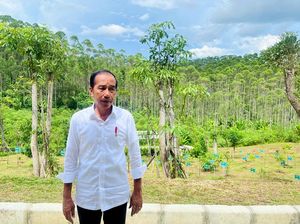 Jokowi Tinjau Progres Pembangunan Infrastruktur IKN, Ini Hasilnya