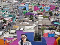 Pencarian Internet Ungkap Eskalasi Fobia terhadap Alam pada Populasi Kota