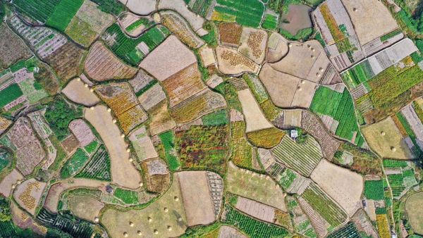 Lanskap Terasering Taizhou China Kala Musim Gugur