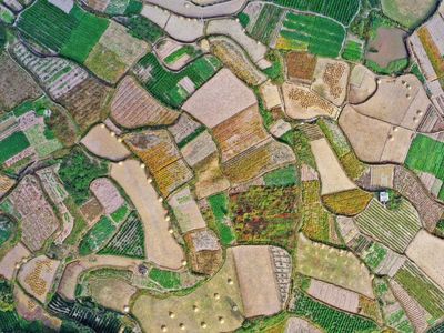 Lanskap Terasering Taizhou China Kala Musim Gugur