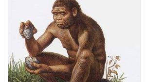 Meme Kocak Saat WhatApp Down Total Jadi Bulan-bulanan Netizen