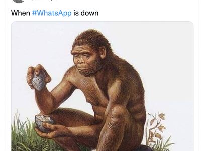 Meme Kocak Saat WhatApp Down Total Jadi Bulan-bulanan Netizen