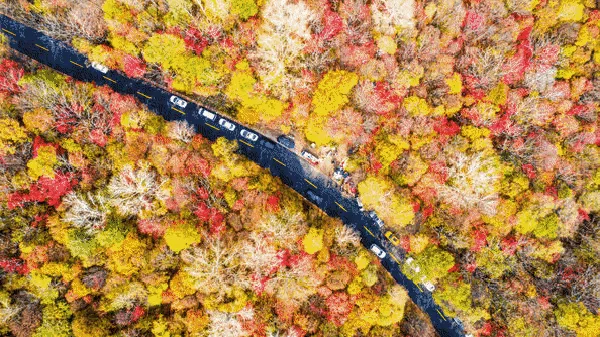 Menikmati Panorama Indah saat Musim Gugur di China