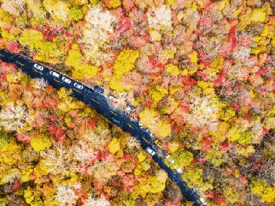 Menikmati Panorama Indah saat Musim Gugur di China