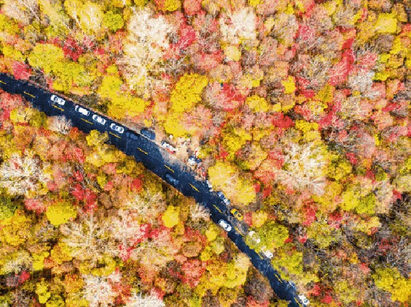 Menikmati Panorama Indah saat Musim Gugur di China