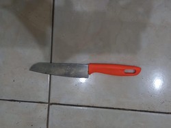 Pemuda Banyuwangi Digelandang ke Penjara Setelah Gagal Perkosa Tetangga