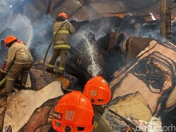 22 Gajah Merah Kepung Gudang Tripleks Terbakar di Bandung