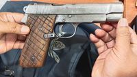 Ini Pistol yang Dibawa Wanita saat Todong Paspampres Depan Istana