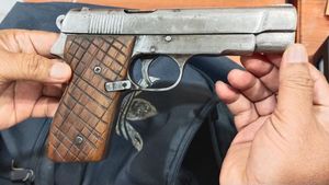 Ini Pistol yang Dibawa Wanita saat Todong Paspampres Depan Istana