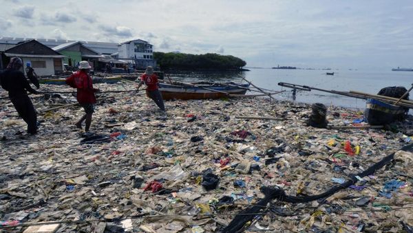 Nasib Pantai di Bandar Lampung yang Penuh Sampah