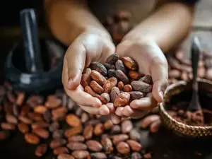 7 Rahasia di Balik Sejarah Makanan , Ada yang Dibuat Untuk Masturbasi! 7 Rahasia di Balik Sejarah Makanan , Ada yang Dibuat Untuk Masturbasi!