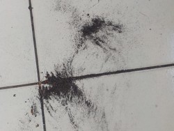 Warga Marunda Kembali Keluhkan Debu Batu Bara, DLH DKI Kirim Tim Investigasi