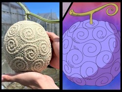 Wow! Siswa Ini Berhasil Tanam Melon Bentuk Devil Fruit di One Piece