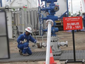 Carbon Capture Storage Berpeluang Jadi Bisnis Baru di Indonesia