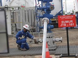 Carbon Capture Storage Berpeluang Jadi Bisnis Baru di Indonesia