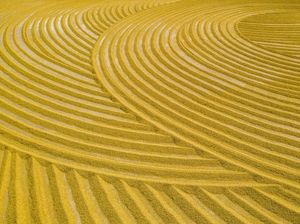 Terkendala HPP Lama, Bulog Akui Sulit Serap Gabah Petani di Sumut