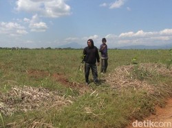 Melihat Lahan Relokasi Kawasan Industri Pulogadung di Subang