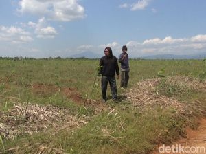 Melihat Lahan Relokasi Kawasan Industri Pulogadung di Subang Melihat Lahan Relokasi Kawasan Industri Pulogadung di Subang