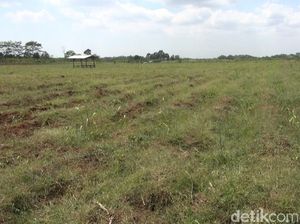 Lahan Industri di Jabotabek Makin Banyak, Ini Daftar Harga Terbarunya Lahan Industri di Jabotabek Makin Banyak, Ini Daftar Harga Terbarunya