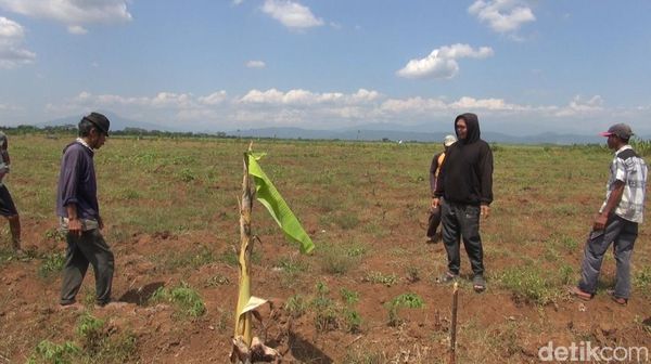 Kawasan Industri Pulogadung Mau Dipindah ke Subang, Ini Lokasinya