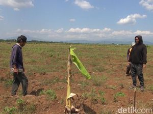 Kawasan Industri Pulogadung Mau Dipindah ke Subang, Ini Lokasinya Kawasan Industri Pulogadung Mau Dipindah ke Subang, Ini Lokasinya