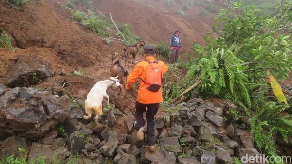 Ngerinya Longsor Siwarak Purbalingga Bikin Puluhan Rumah Terancam Hilang