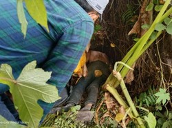 Sesosok Mayat Tanpa Identitas Ditemukan di Medan Sunggal