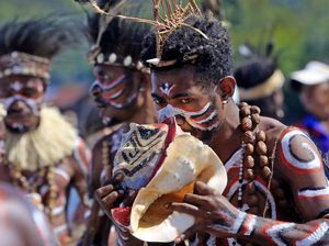 Ras Melanesoid: Asal Usul, Ciri-ciri, dan Contoh Sukunya