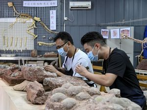 Jejak Zaman Jurassic: Mengapa Fosil Dinosaurus Sering Ditemukan di China? Jejak Zaman Jurassic: Mengapa Fosil Dinosaurus Sering Ditemukan di China?