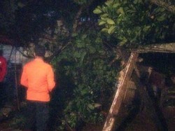 Pohon Tumbang Timpa Rumah Warga di Bogor