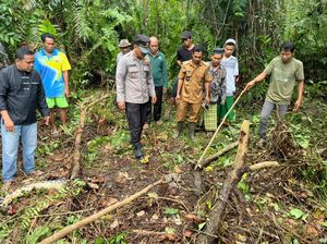 Ngeri Ular Piton Makan Manusia di Jambi, Ini 5 Faktanya Ngeri Ular Piton Makan Manusia di Jambi, Ini 5 Faktanya