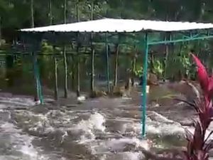 Derasnya Banjir Terjang Makam Tulungagung Sebabkan Mayat Bermunculan Derasnya Banjir Terjang Makam Tulungagung Sebabkan Mayat Bermunculan